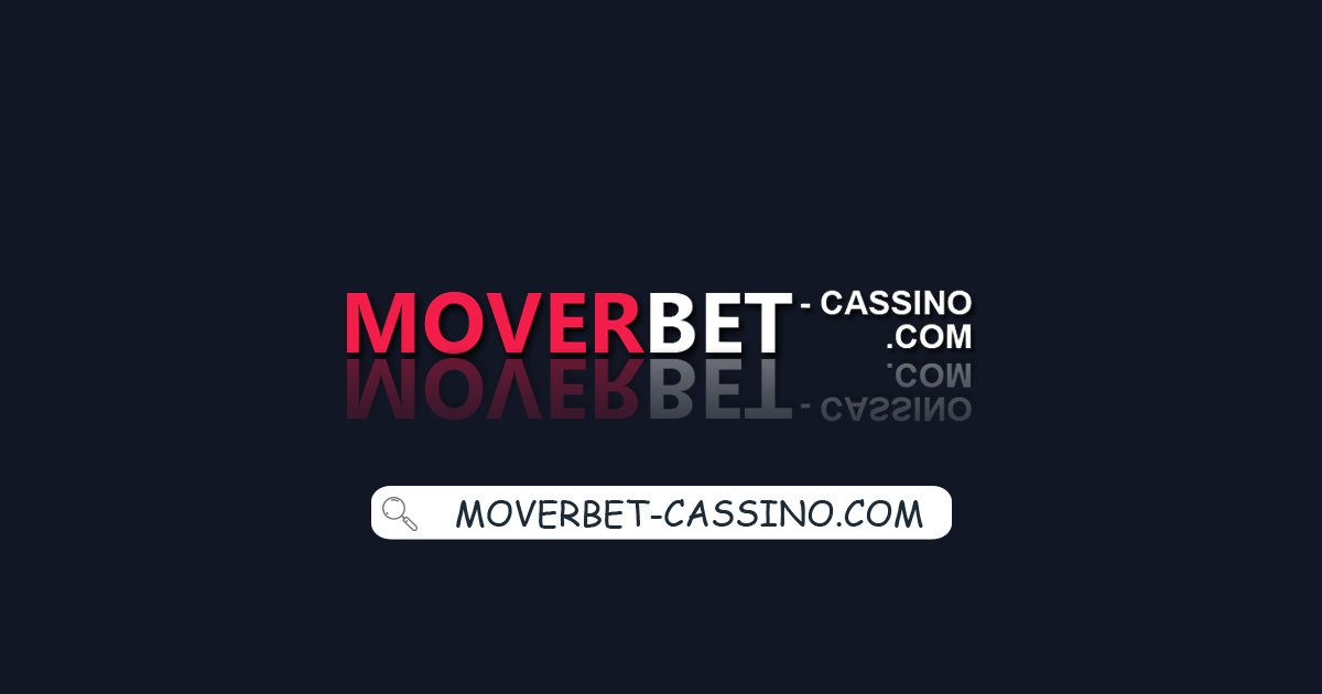 3537bet