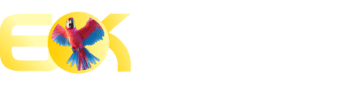10brl - 89k
